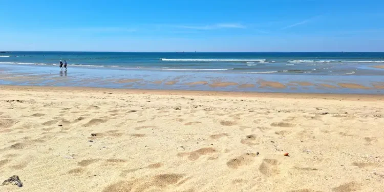 Matoshinhos beach in porto on a sunny day