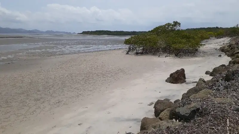 Remote Panamanian coastline featuring a broad sandy beach, mangroves, tidal flats, rocky shoreline, and distant mountains.