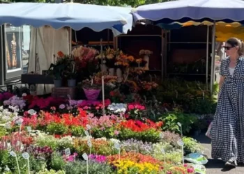 Kathleen browsing colorful flower stalls at an outdoor market in Strasbourg, France.