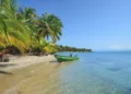 Starfish beach boats