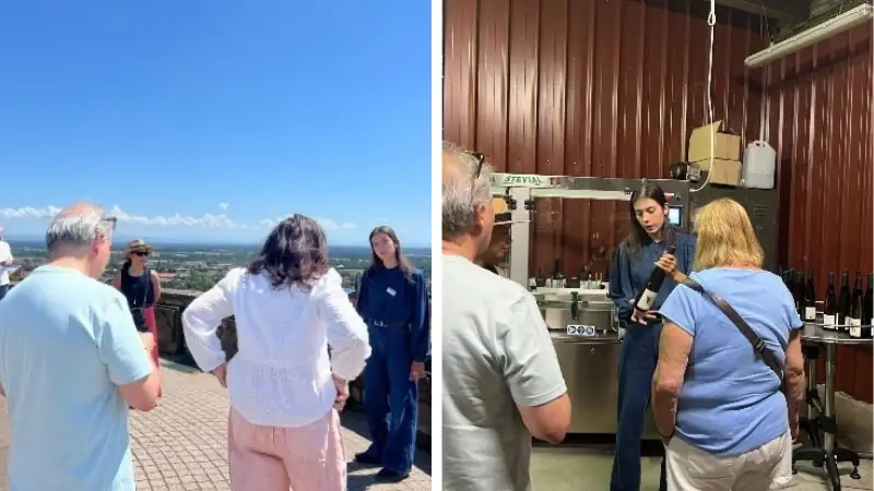 Visitors enjoy a winery tour, taking in scenic vineyard views before learning about the winemaking process and wine bottling inside the production facility.