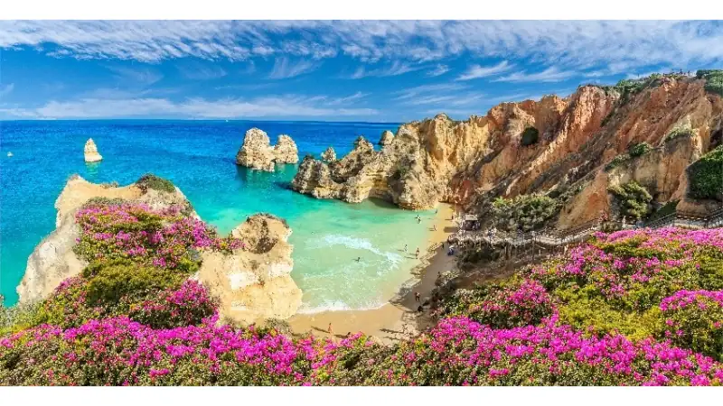 A stunning coastal cove with dramatic golden cliffs, crystal-clear turquoise waters, vibrant pink wildflowers, and a sandy beach under a bright blue sky.