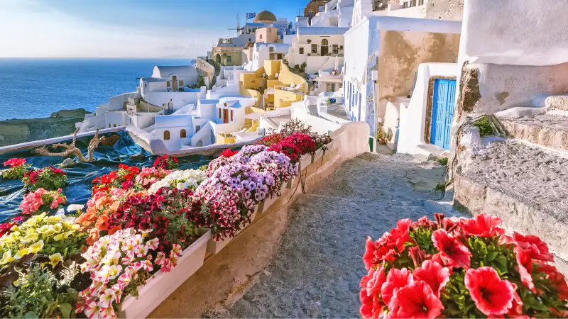 Traditional Cycladic houses on a small street in Greece with colorful flowers in the foreground