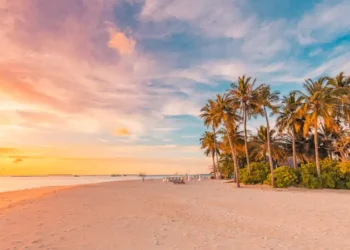 Island palm tree sea sand beach. Panoramic beach landscape. Inspire tropical beach seascape horizon.