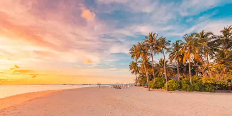 Island palm tree sea sand beach. Panoramic beach landscape. Inspire tropical beach seascape horizon.