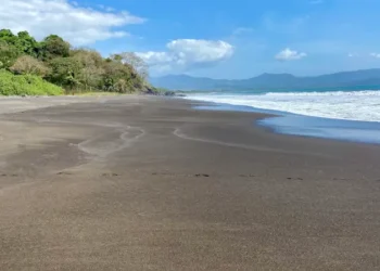 A wide, tranquil black sand beach bordered by lush tropical forest, with gentle waves, distant mountains, and a bright blue sky dotted with soft clouds.