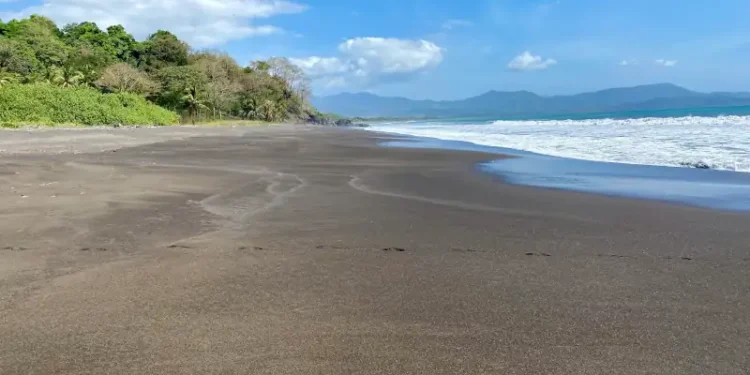 A wide, tranquil black sand beach bordered by lush tropical forest, with gentle waves, distant mountains, and a bright blue sky dotted with soft clouds.