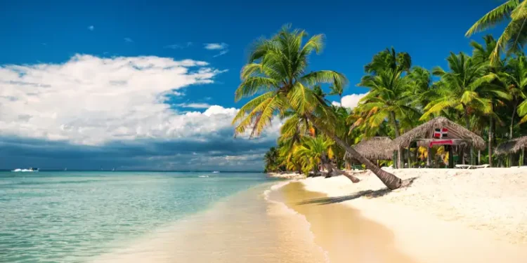 Tropical beach on Saona Island, Dominican republic