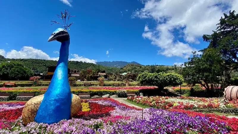 A vibrant blue peacock sculpture surrounded by colorful flowers in a landscaped garden, with lush mountains and a bright blue sky in the background.