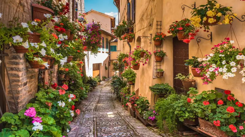 Floral street in central Italy