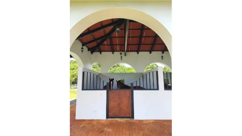 Spacious horse stable with arched openings, modern stalls, and a covered roof designed for comfort and ventilation.
