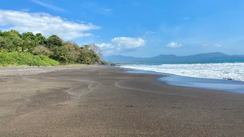 Scenic black-sand beach with lush tropical vegetation and mountains in the distance.