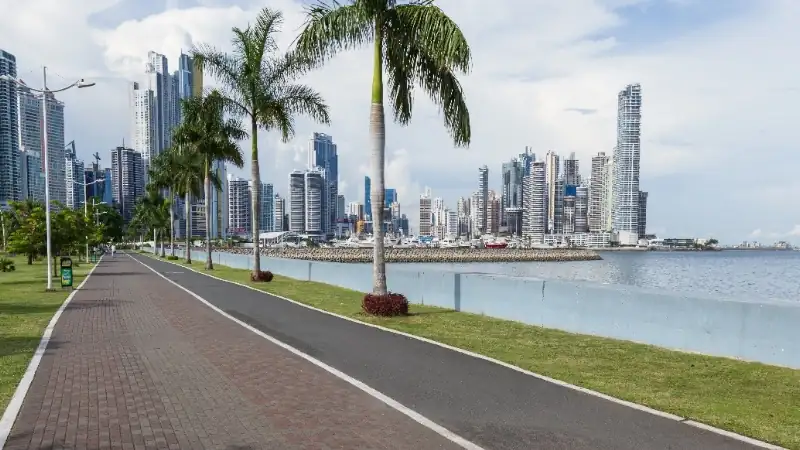 Scenic waterfront promenade lined with palm trees, overlooking Panama City’s dense skyline.