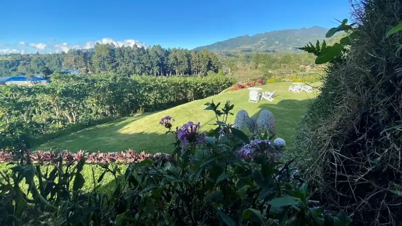 Lush countryside with gardens, farmland, and mountain views in Panama.