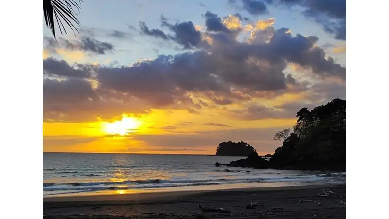 Tropical beach at sunset with ocean waves, silhouetted trees, and dramatic clouds.