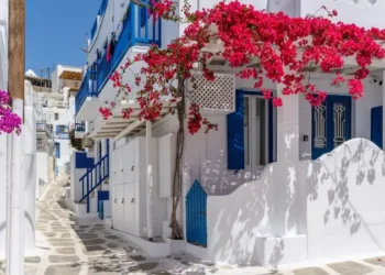 Traditional Cycladitic alley with a narrow street with a full blooming bougainvillea in Mykonos island, cyclades, Greece