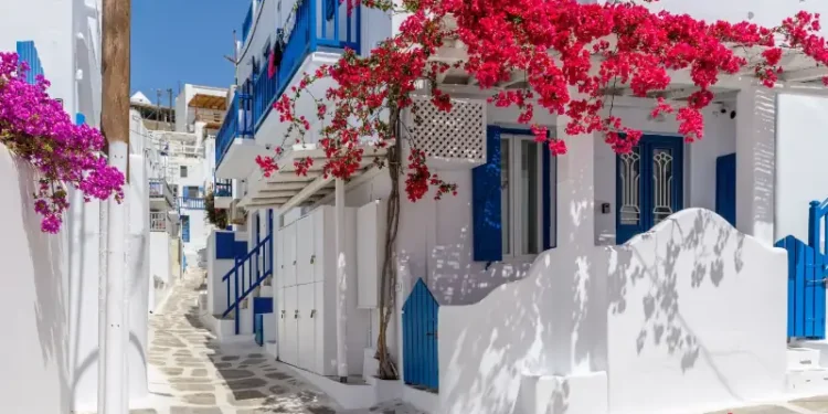 Traditional Cycladitic alley with a narrow street with a full blooming bougainvillea in Mykonos island, cyclades, Greece