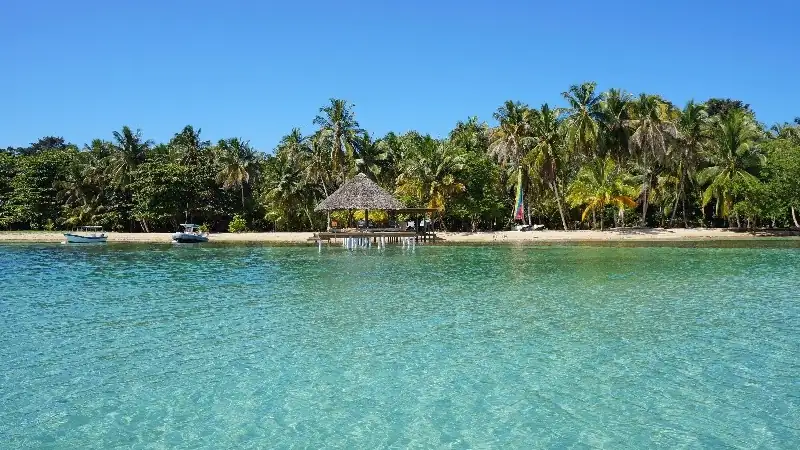 Crystal-clear turquoise water surrounding a lush tropical island with palm trees and a thatched-roof pavilion.