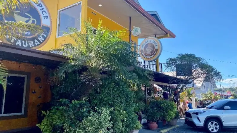 Colorful restaurant exterior surrounded by tropical plants, with outdoor seating and a sunny streetscape.