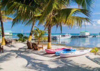 Palms and beach at Caye Caulker island, Belize
