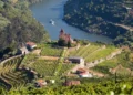 Douro Valley