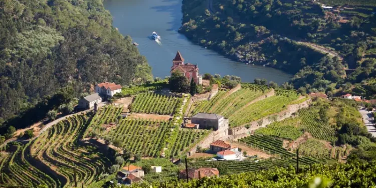 Douro Valley