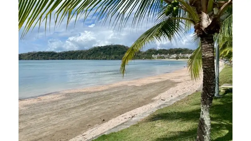 A sandy beach with calm turquoise water, palm trees, and lush green hills in the distance.