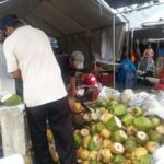 Fresh coconuts—chopped and ready for drinking