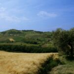 The rolling hills of Abruzzo, Italy.