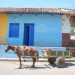 A horse and cart rest in front of an art gallery in Granada, Nicaragua.
