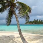 A palm tree sways on the white sand beaches of the San Blas Islands, Panama.