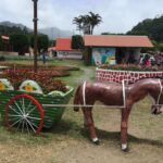 donkey-pottery