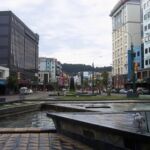 Wellington, the capital of New Zealand