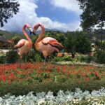 pink-swan-pottery