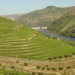 Vineyards in the Douro valley