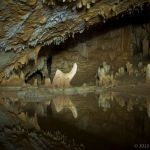 Barton Creek Cave is a resurging stream cave. By 2005 a cave survey had been completed by the Western Belize Regional Cave Project recording a total of 6,400 meters of passages. Dye traces at sinking streams above the cave indicate that there could be a further 8 kilometers of cave passages. Rock formations in Barton Creek Cave