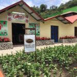 strawberries-shop