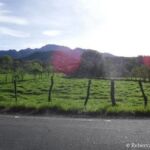 sunshine volcan panama