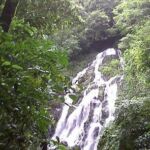 Cascade in Panama