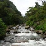 River in Panama
