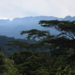 Embera–Wounaan region