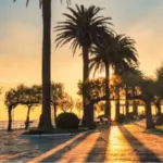 Public garden in Santander, Spain at sunrise and palm shadows