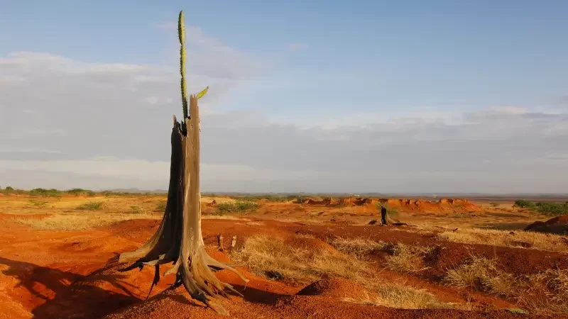 Eroded soil landscape at Sarigua National Park. Herrera province, Azuero peninsula, Panama, Central America.