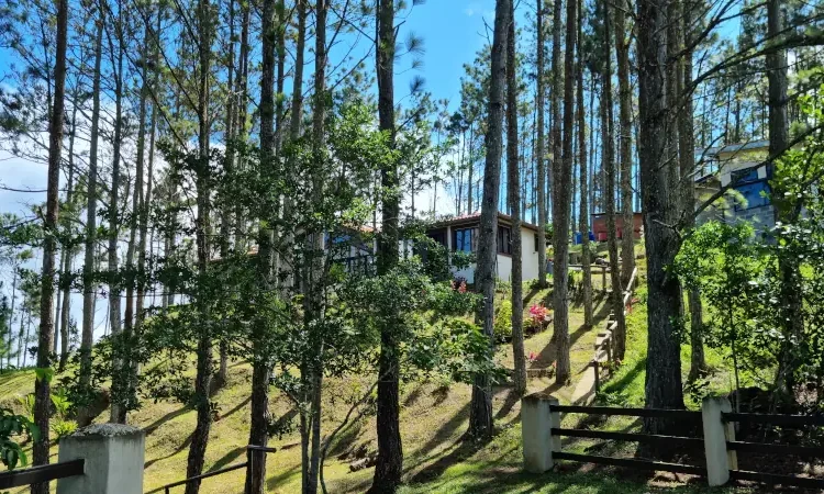 A beautiful house in the mountains on a sunny day, nestled among a pine forest