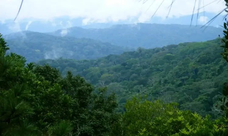 Cerro Azul, Panama Covered In Fog