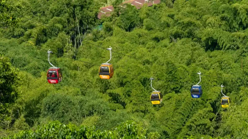 Cable cars in motion over National Coffee Park located near the city of Armenia.