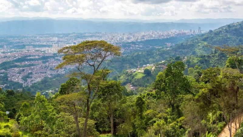 View of jungle with Bucaramanga, Colombia in the distance